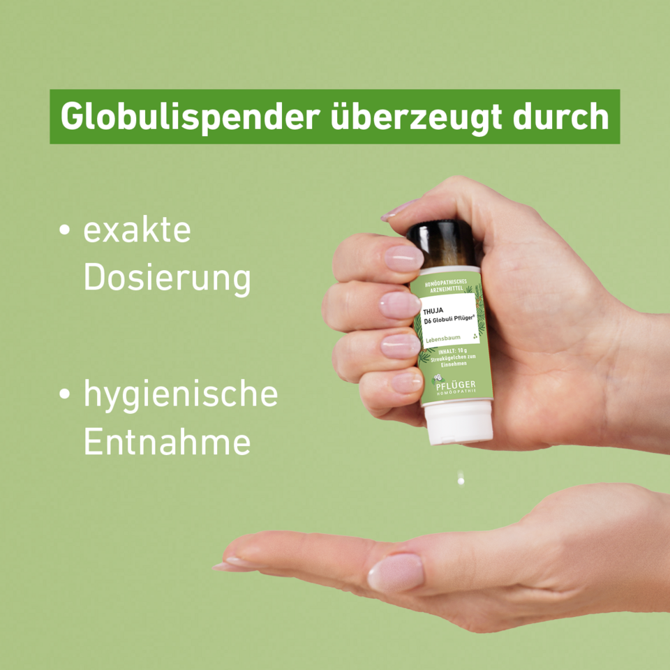 Thuja Globuli Pflger