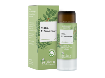 18051707 Thuja D12 Globuli Pflüger 10g FS Spender