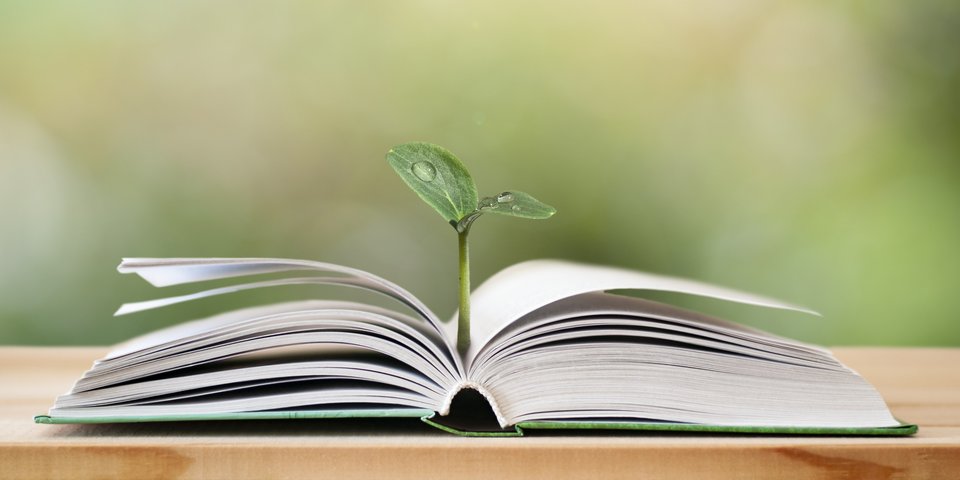 Wirkstofflexikon von Pflüger