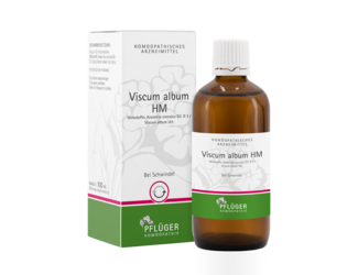 04041993 Viscum album HM 100ml Tropfen FS Flasche