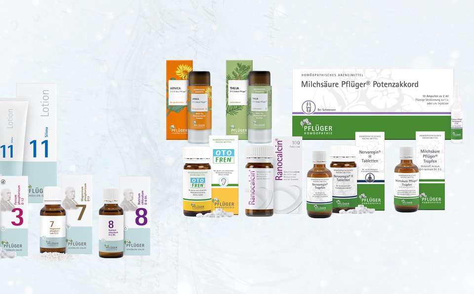 Produktdaten Download