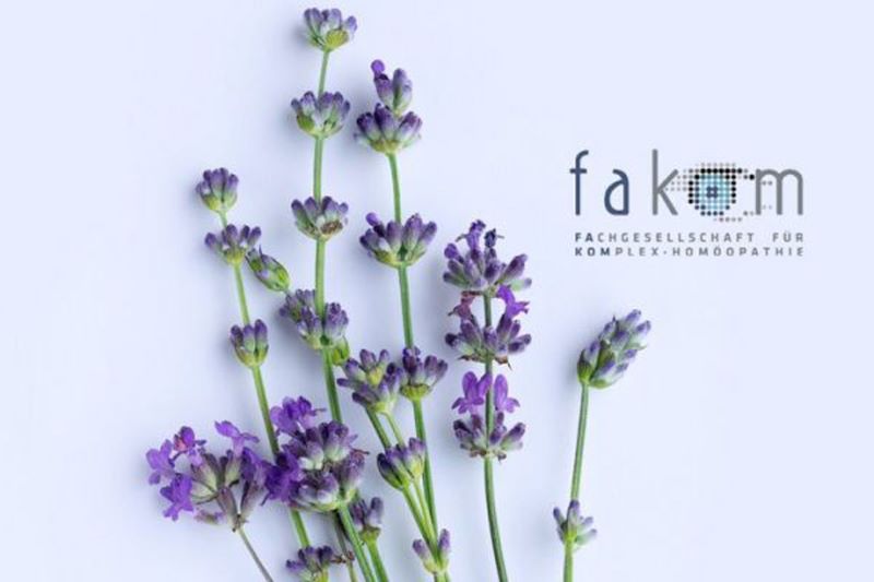 fakom Fortbildung Partner Gewinnspiel