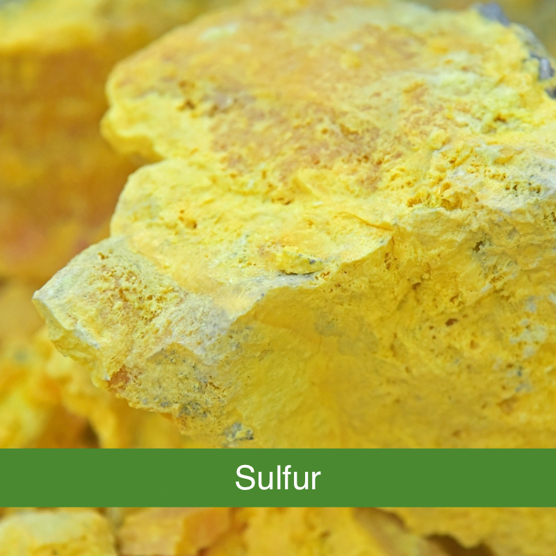 Wirkstofflexikon Pflüger